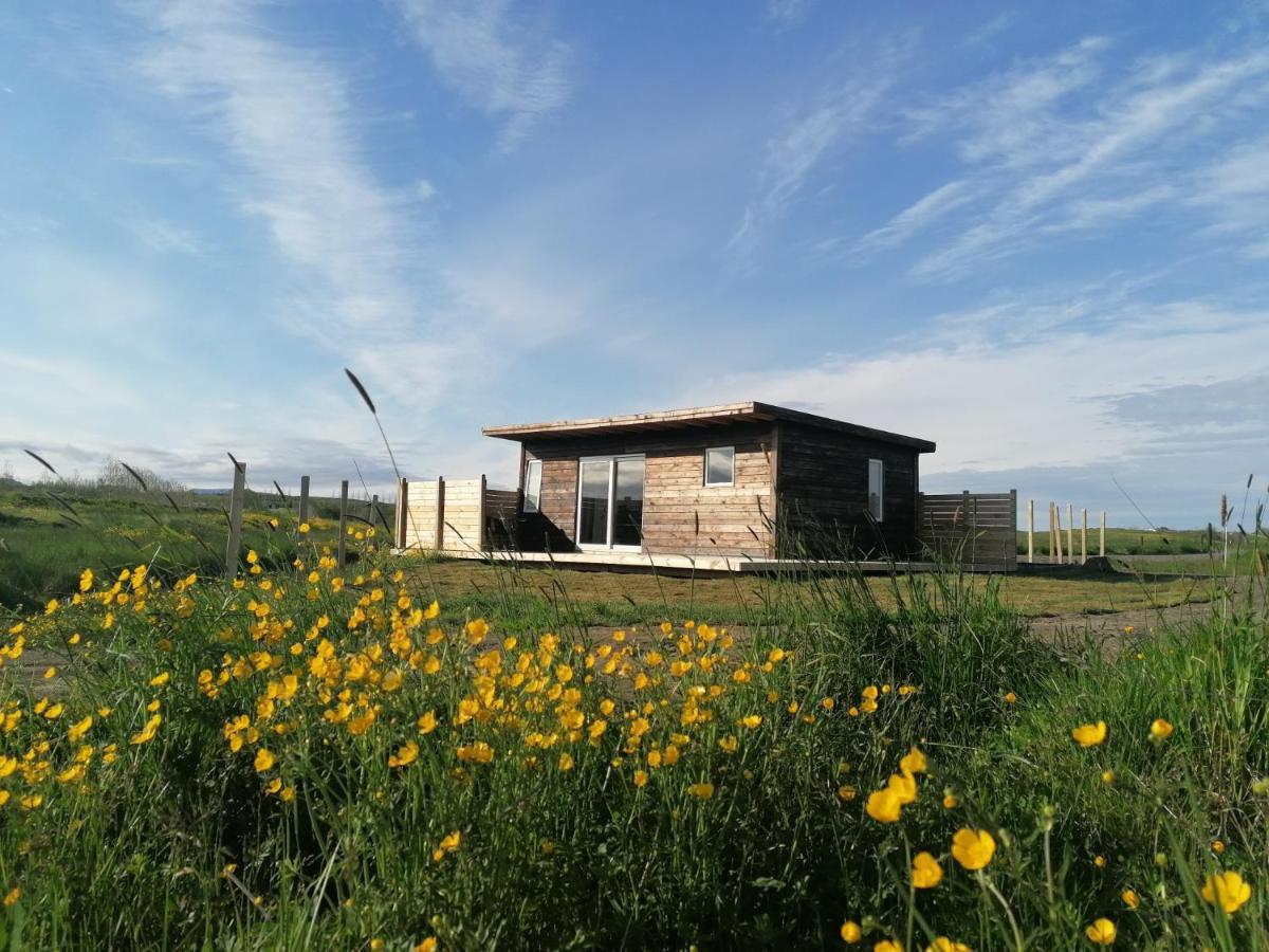 Blackwood Cottage Near Geysir Рейкхольт Экстерьер фото